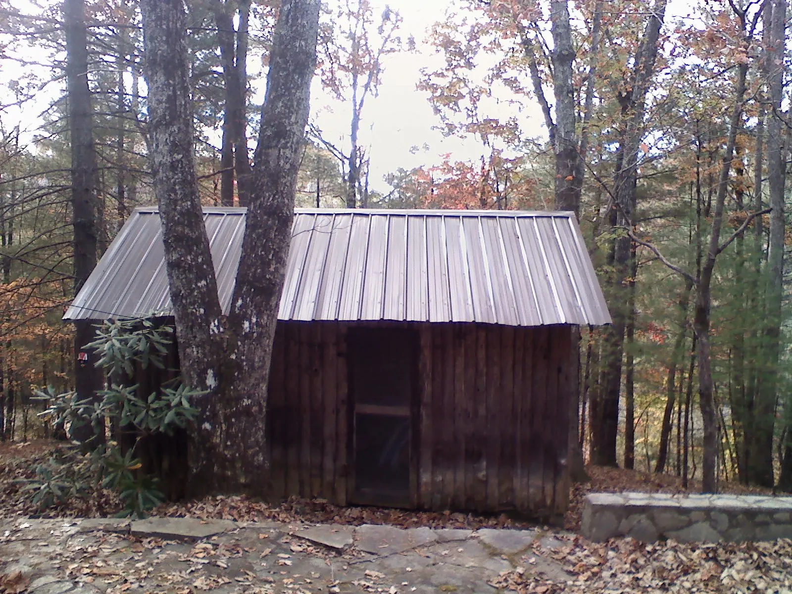 New metal gable roof on a small log shed among the trees in Camden